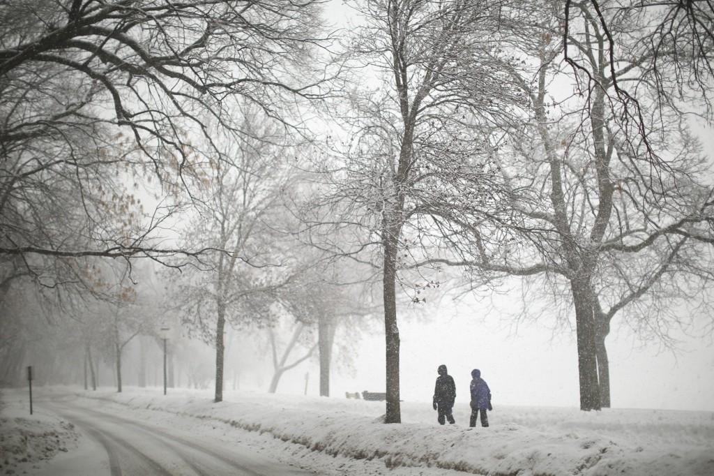 Snowstorm (Jeff Wheeler/Minneapolis Star Tribune/MCT)