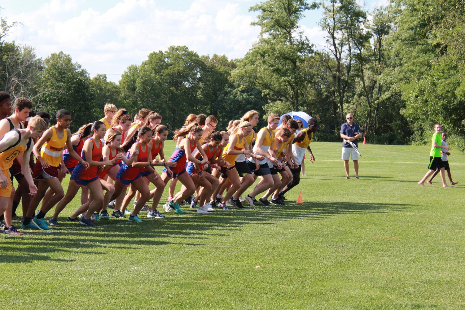 Girls Cross Country Profiles