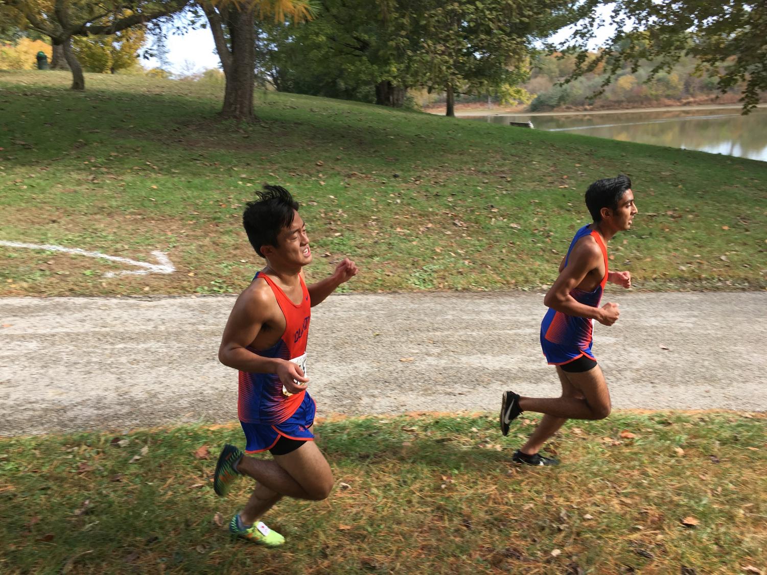 Greyhounds Win XC Districts