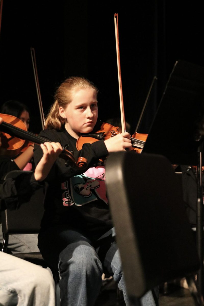 "Recently, I've been practicing my violin more, and I enjoy playing with my orchestra. I've been playing since I was two years old. I enjoyed playing when I was in sixth grade because it was one of the first times that I had the opportunity to play in an orchestra with other instruments. Now, I do solo and ensemble work and plan to audition for the All-State and All-Suburban orchestras." - Amelia Henderson, 10