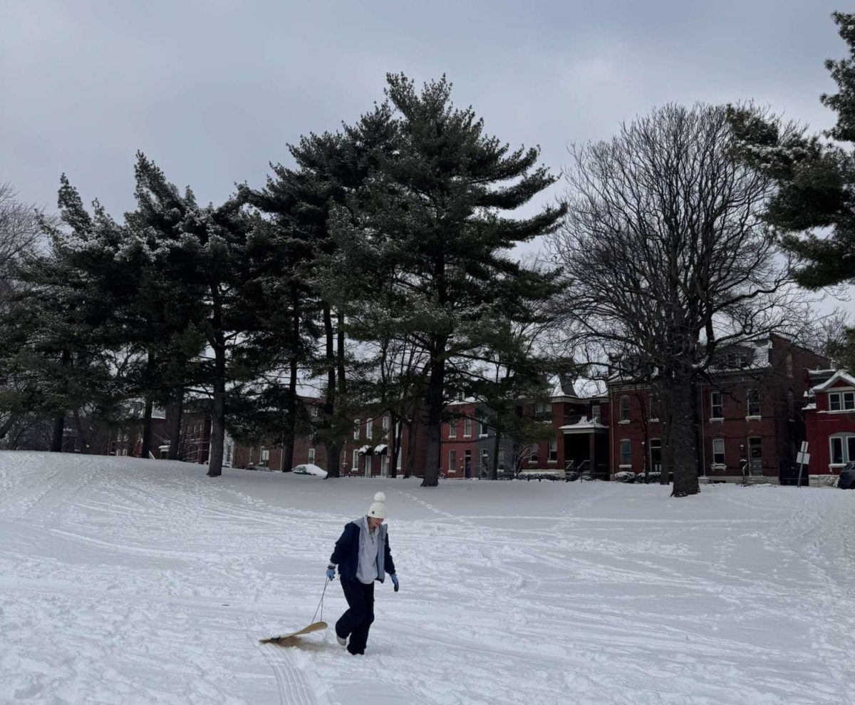 Senior Harper Mettes pulls her sled on one of the four snow days in the week after winter break.