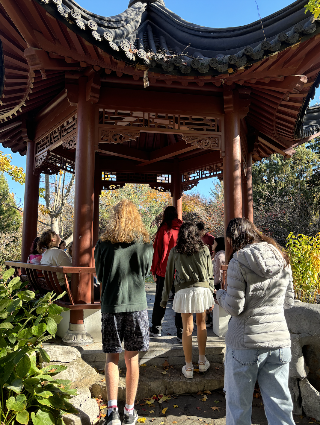 While Clayton has increasingly placed an emphasis on STEM education and opportunities over the past few years, many teachers have been pushing for similar experiences. To the right is a field trip for Dr. Paul Hoelscher's AP Modern World History class, in which he took his upperclassmen students to the Confucian gardens within the Botanical Gardens to learn more about Chinese history. 